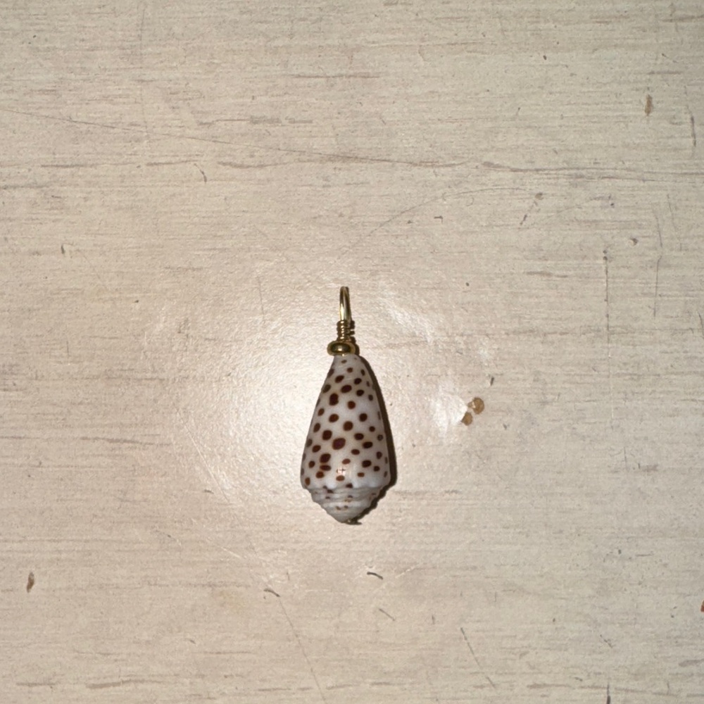 Gold filled flea cone shell pendant